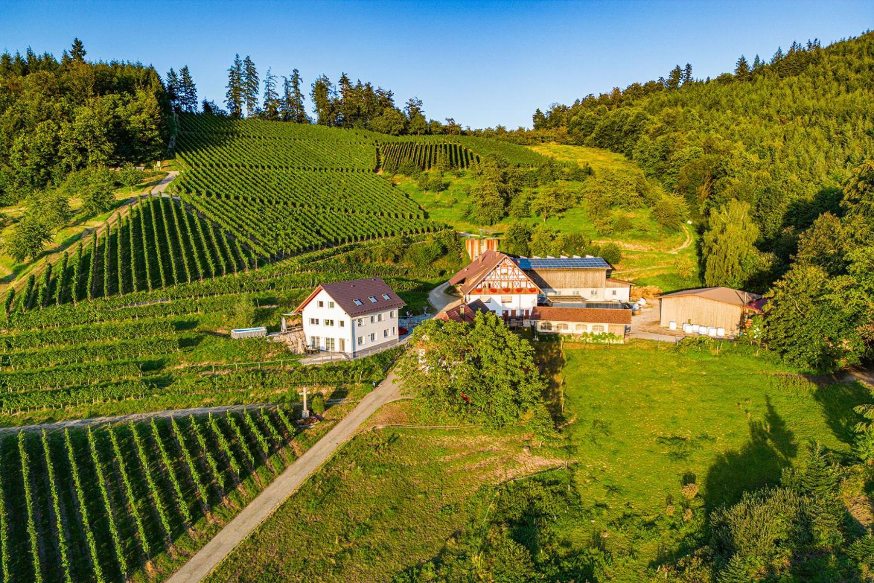Paradieshof Lautenbach Екстериор снимка